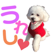 seira_20211001134514