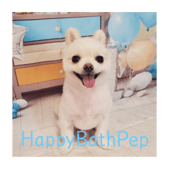HappyBathPep930