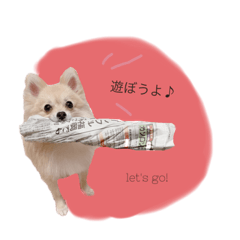 kinaco_20210929150443