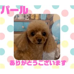 HappyBathPepのお友達　k