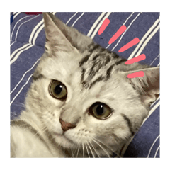 kaito_20210929152605