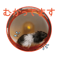 emily_20211001151524