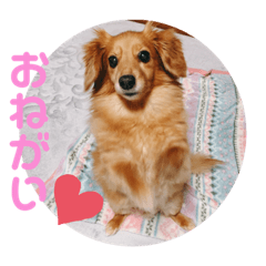 miki_20211001154043