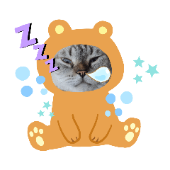 My Cat is so Funny