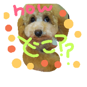 dogdogsdogdog