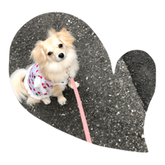 Lovely  MIMI