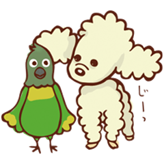 White Poodle & Parakeet Sticker