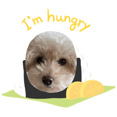 nanami_20211001181935