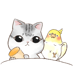 cute cats and birds