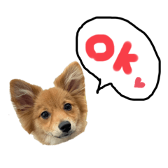 ponzu_20210929155916