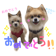 azucha2
