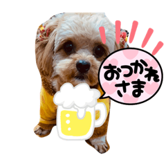 himawari_20210929195648