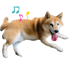 saya_20211001171423
