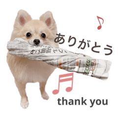 kinaco_20211001223255