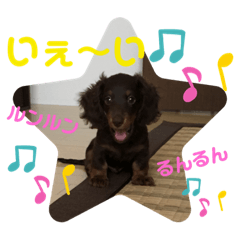 hana_20211002002406