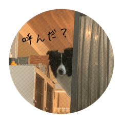 masakichi_20210929211811