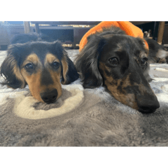 kaito_20210929220527