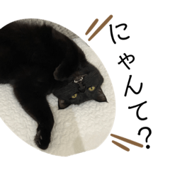 goro's_20210929205237