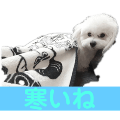 atchi_20211002111151
