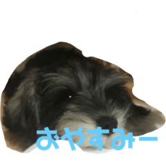 aoi_20210929230916