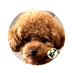 mayumi_20211001143331