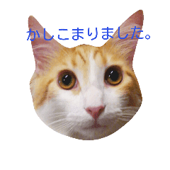 世界一かわいいアルバスタンプ2 Line スタンプ Line Store