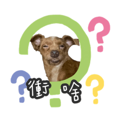 播尺狗勾