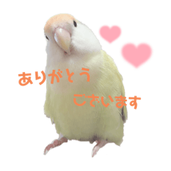 りんちゃんすたんぷ。。。③