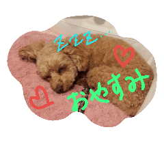 トイプー姫ちゃんのスタンプ
