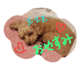 トイプー姫ちゃんのスタンプ