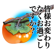 Persimmon Sticker