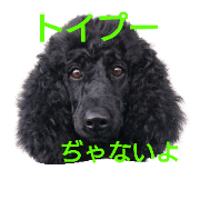 stamp of standard poodle