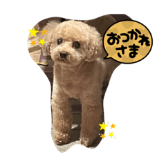 yukari_20210930074011