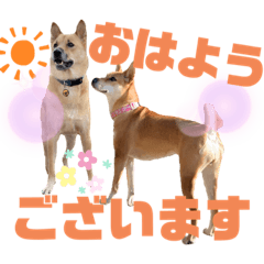 tonton_20211002141657
