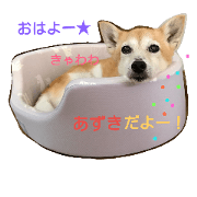 my name is azuki