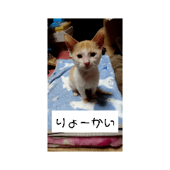 kaori_20210930100830