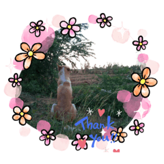 Numpan_20211001141207