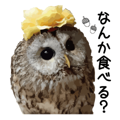 Owl's garden Sticker