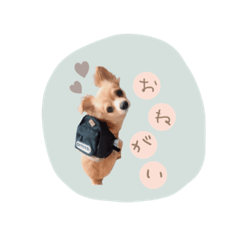CHIHIRO_20210930175642