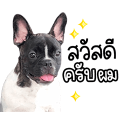 Myname.Cooper