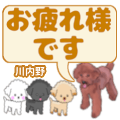 Kawauchino's. letters toy poodle