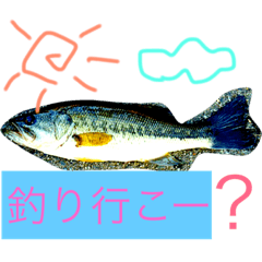 Fishing!