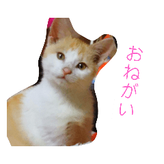 kaori_20210930163223