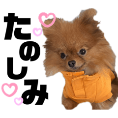 HIKARI_20211003010351