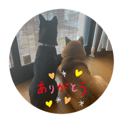 tetsu_20210930200321