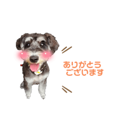 riho_20210930202646