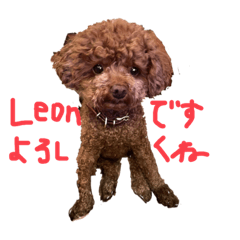 Leon_20210930195837