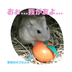 very cute hamster sticker!