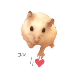 hamster_20211002204855