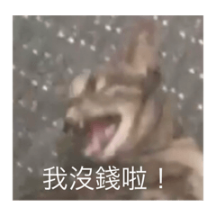 咪咪茂貿2